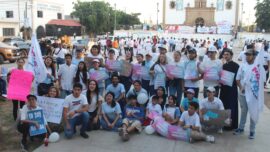 Guasave marcha a favor de la vida y la mujer